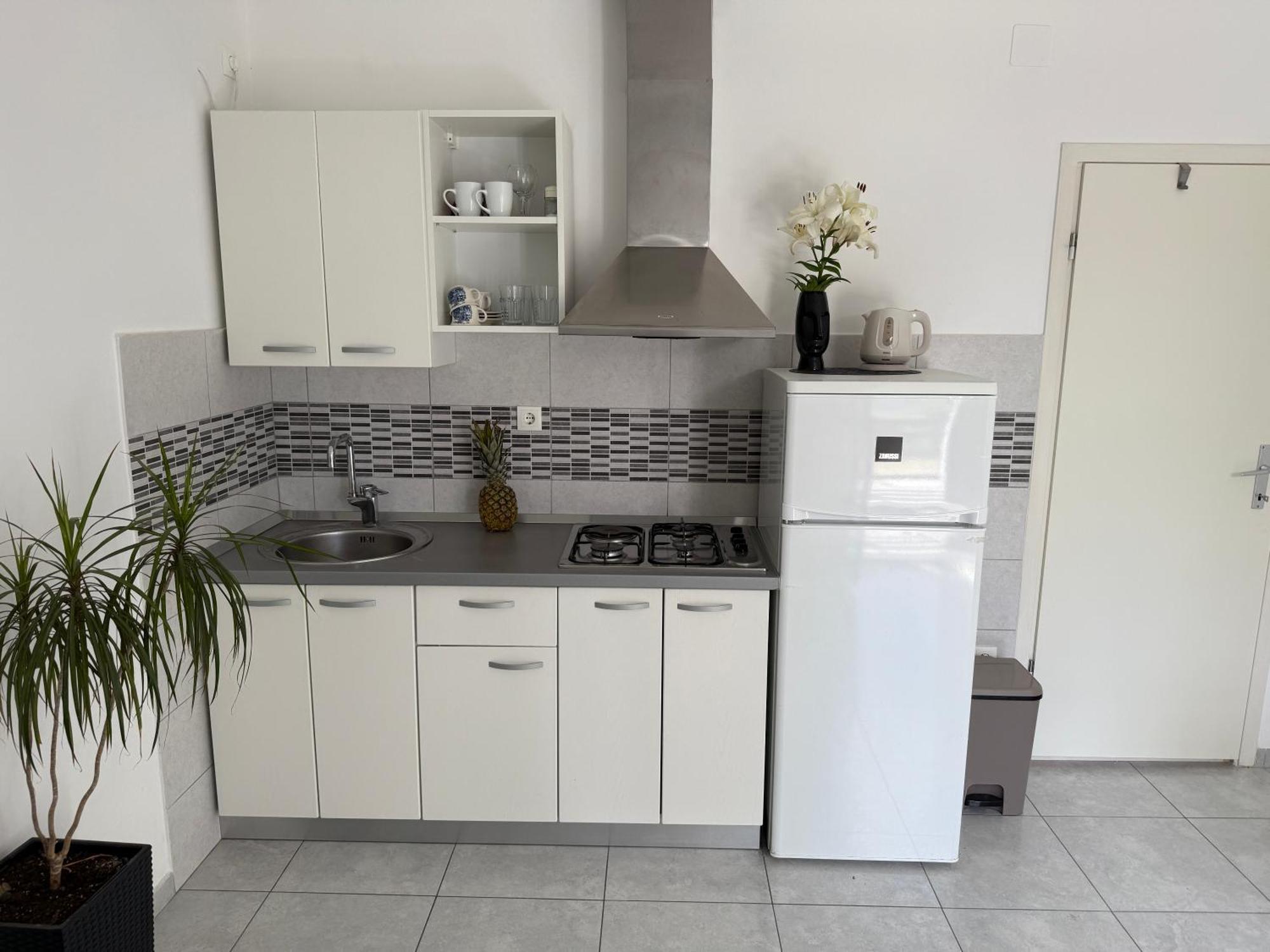 Apartmani Stambuk Jelsa  Εξωτερικό φωτογραφία